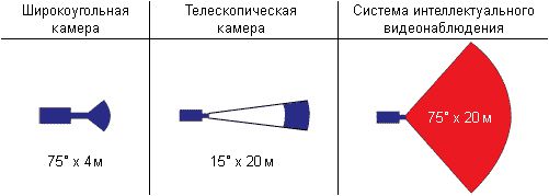iguana-diagrammauglov.jpg iguana-diagrammauglov.jpg